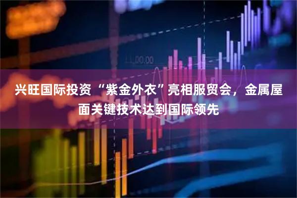 兴旺国际投资 “紫金外衣”亮相服贸会，金属屋面关键技术达到国际领先