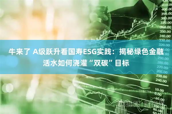 牛来了 A级跃升看国寿ESG实践：揭秘绿色金融活水如何浇灌“双碳”目标