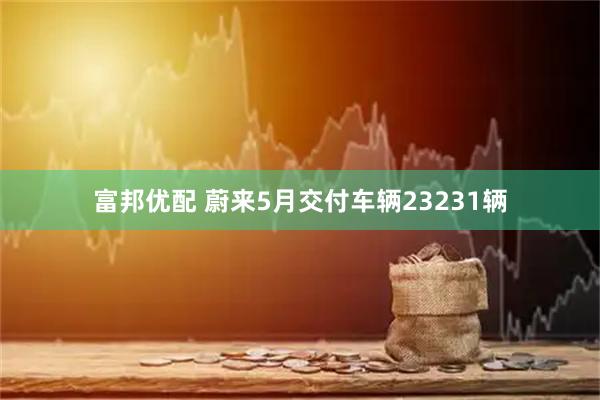富邦优配 蔚来5月交付车辆23231辆