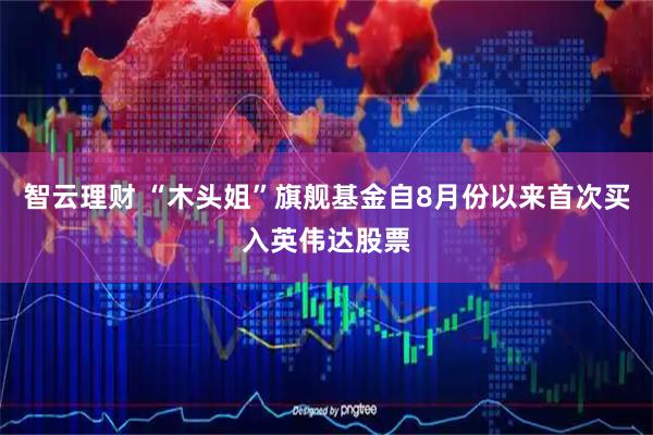 智云理财 “木头姐”旗舰基金自8月份以来首次买入英伟达股票