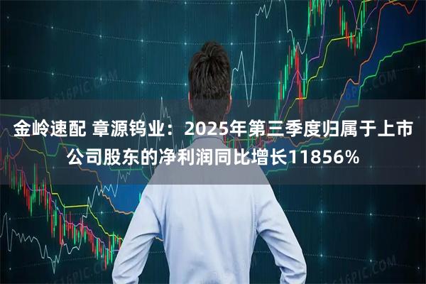 金岭速配 章源钨业:2025年第三季度归属于上市公司股东的净利润同比增长11856%